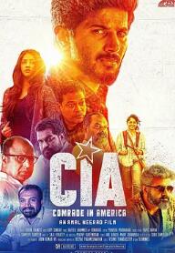 CIA：美国的同志